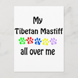 Carte Postale Le Mastiff Tibétain marche design