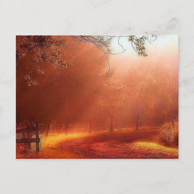 Carte Postale Le Matin A Éclaté (Devant)