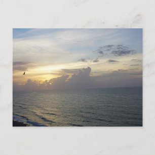 Carte Postale Le Matin A Éclaté