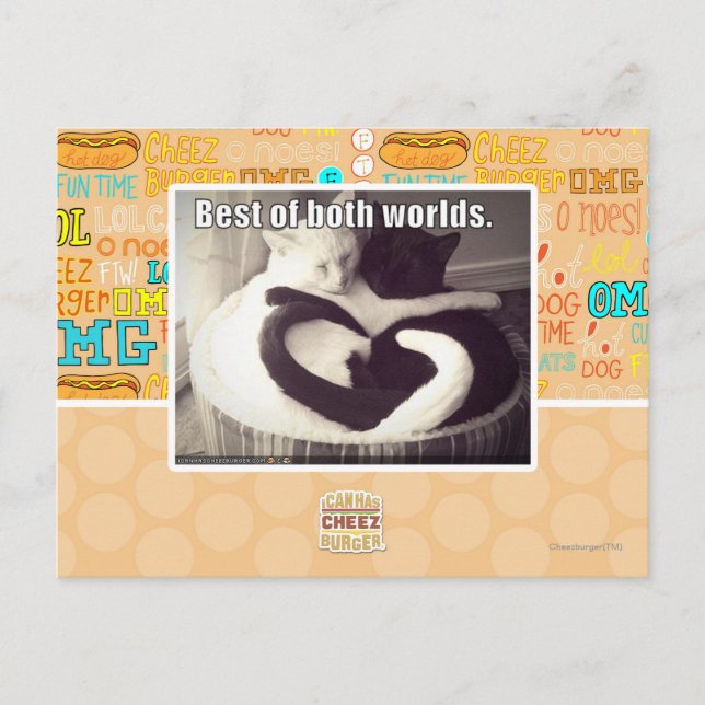 Carte Postale Le meilleur des deux mondes. (Devant)
