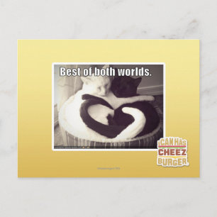 Carte Postale Le meilleur des deux mondes.