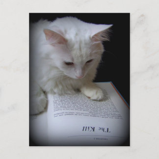 Carte Postale Le meurtre