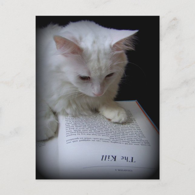 Carte Postale Le meurtre (Devant)