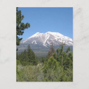 Carte Postale Le mont Shasta Californie