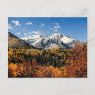 Carte Postale Le mont Timpanogos à l'automne Monts Utah