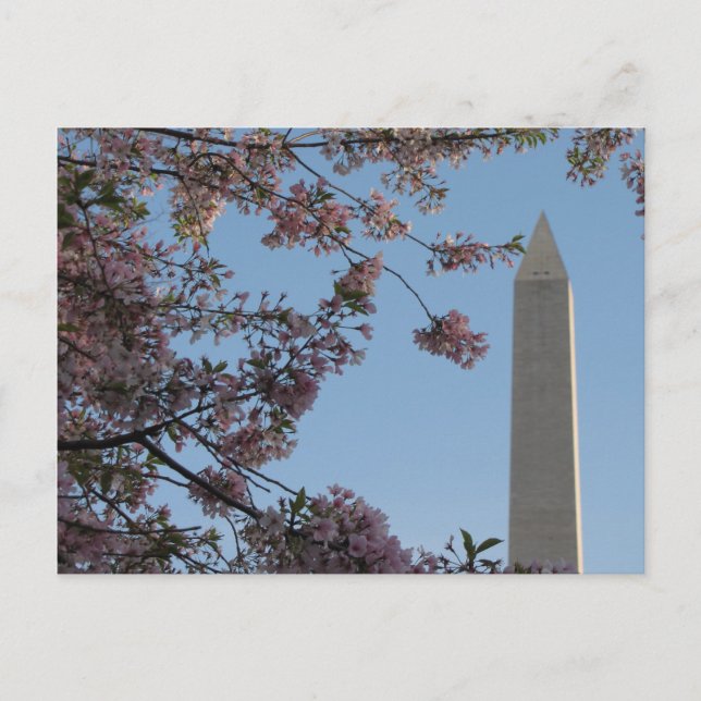 Carte Postale Le monument de Washington (Devant)