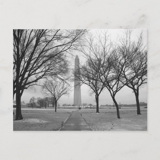 Carte Postale Le monument de Washington (Devant)