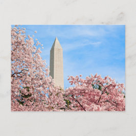 Carte Postale Le monument de Washington