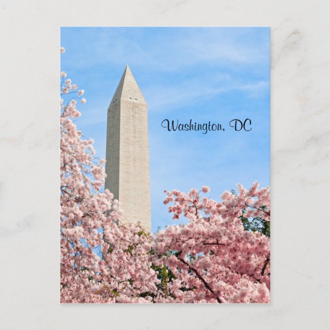 Carte Postale Le monument de Washington (Devant)