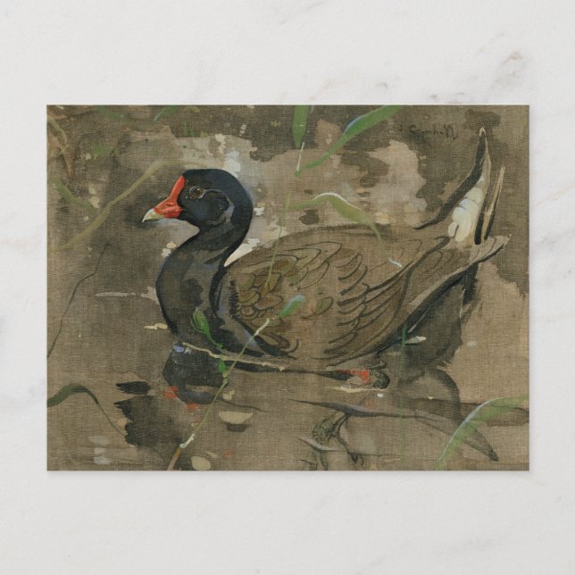 Carte Postale Le Moorhen | Joseph Crawhall (Devant)