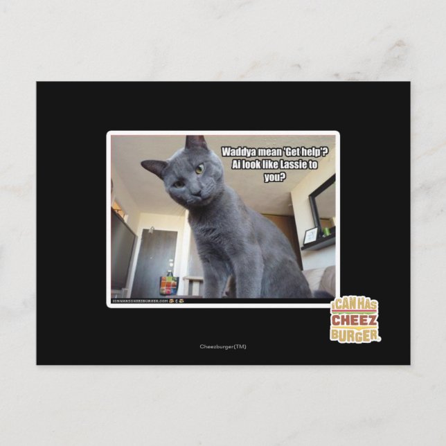 Carte Postale Le moyen de Wadya "obtiennent l'aide" ? (Devant)