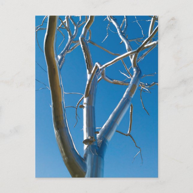 Carte Postale Le musée d'art Saint-Louis (Devant)