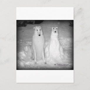 Carte Postale Le Mychtar mondialement connu et son Snowdog ! :)