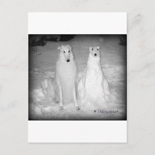 Carte Postale Le Mychtar mondialement connu et son Snowdog ! :) (Devant)