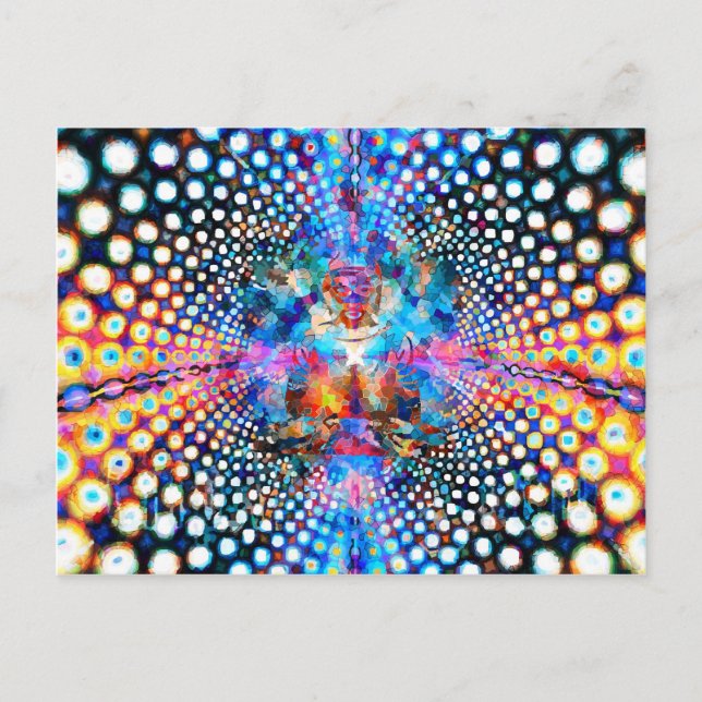 Carte Postale Le Net d'Indra (Devant)