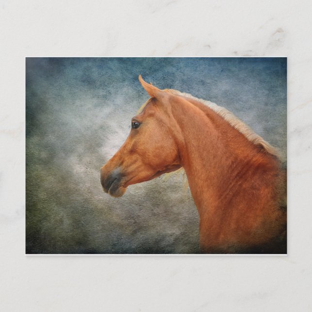 Carte Postale Le Palomino (Devant)