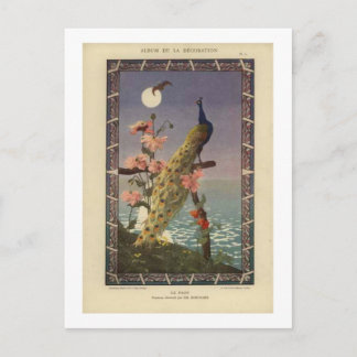 Carte Postale Le paon au clair de lune