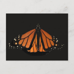 Carte Postale Le papillon Monarque dans la clé d'Orange