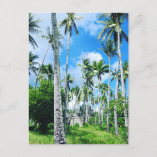 Carte Postale Le paradis dans le Pacifique