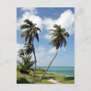 Carte Postale Le Parc D'État De Bahia Honda Et Le Pont De Sept K