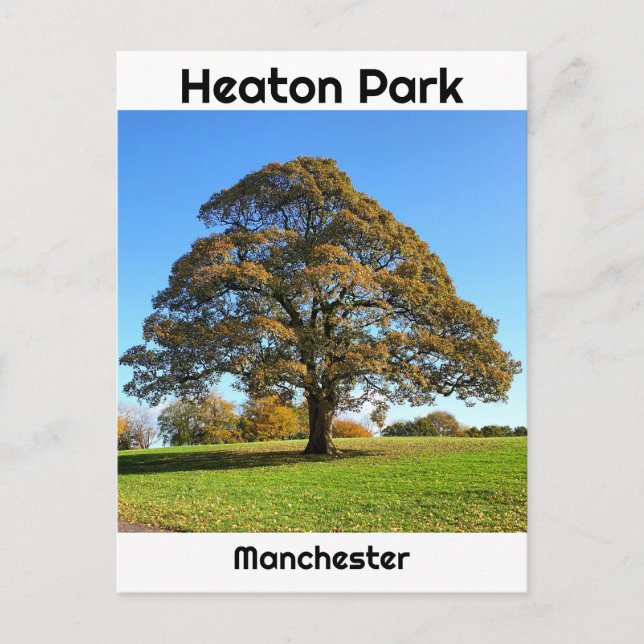 Carte Postale Le parc Heaton (Devant)