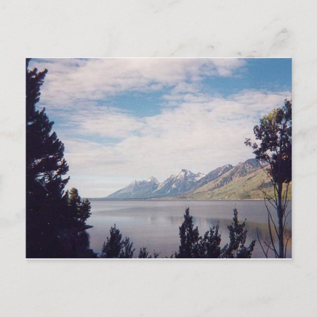 Carte Postale Le Parc national de Grand Tetons (Devant)