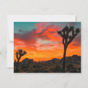 Carte Postale Le Parc national de Joshua Tree