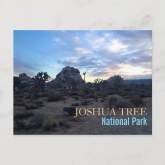 Carte Postale Le Parc national de Joshua Tree