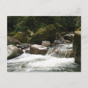 Carte Postale Le Parc national de Manu