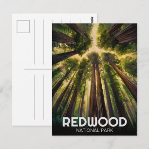 Carte Postale Le parc national de Redwood, Californie côtière