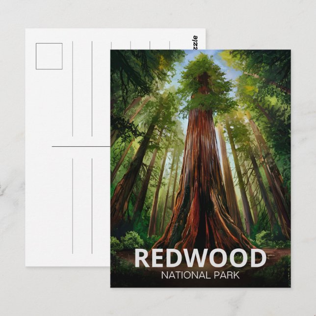 Carte Postale Le parc national de Redwood, Californie côtière (Devant / Derrière)