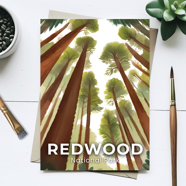 Carte Postale Le parc national de Redwood | Forêt haute aquarell (Créateur téléchargé)