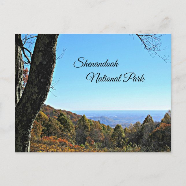 Carte Postale Le Parc national de Shenandoah (Devant)