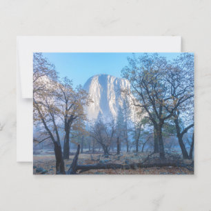 Carte Postale Le Parc national d'El Capitan Yosemite