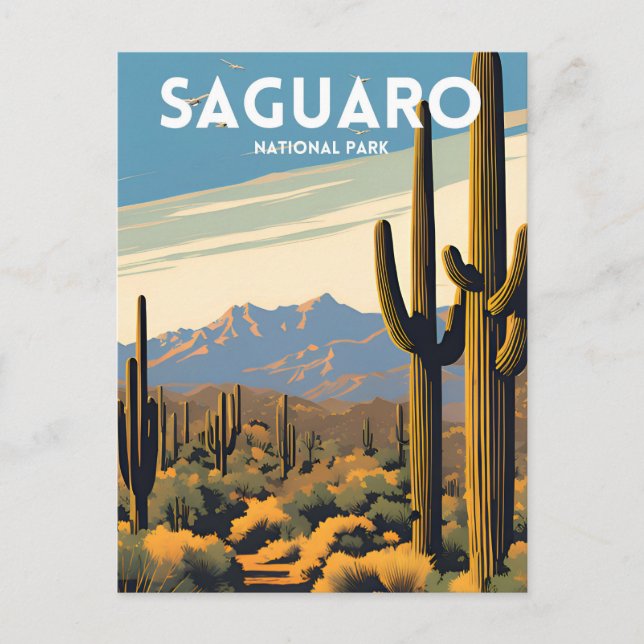 Carte Postale Le Parc national du Saguaro (Devant)