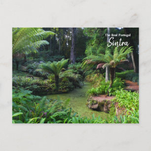 Carte Postale Le Parc Naturel de Sintra - Le Real Portugal