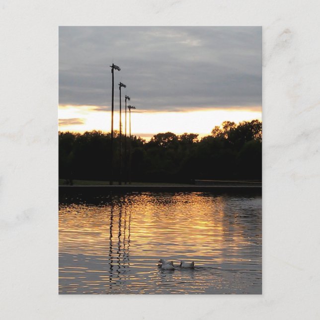 Carte Postale Le parc Saint-Ferdinand (Devant)