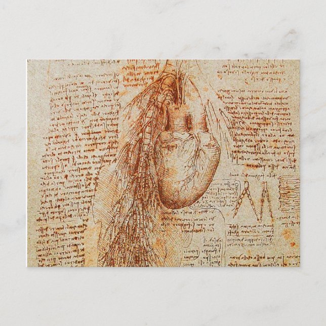 Carte Postale Le Parchemin du Coeur et des Artères Bronchiques (Devant)