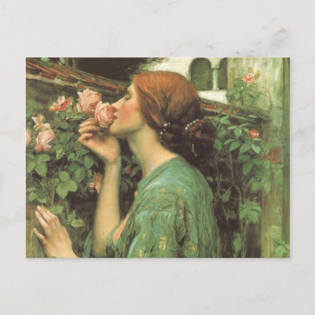 Carte Postale Le parfum du Rose (Devant)