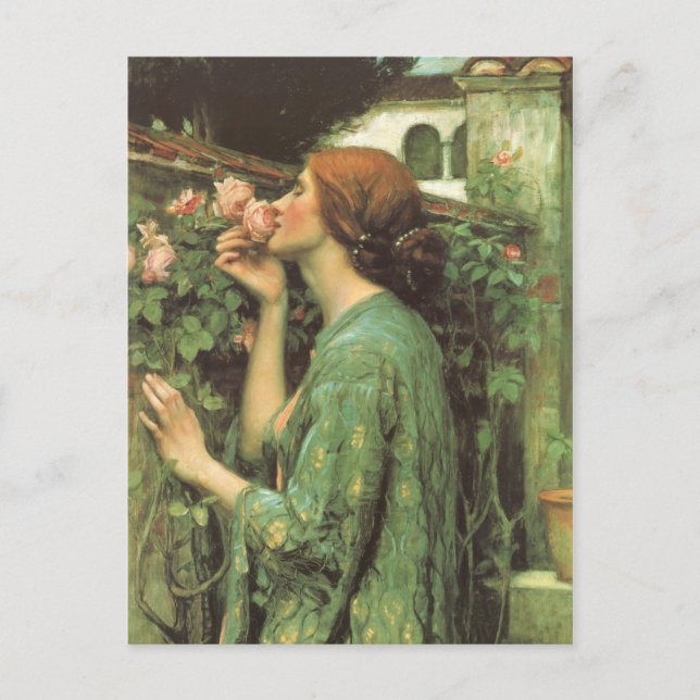 Carte Postale Le parfum du Rose (Devant)