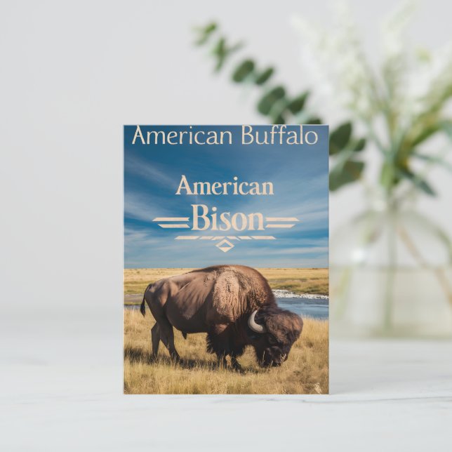 Carte Postale Le pâturage du bison au bord de la rivière (Debout devant)