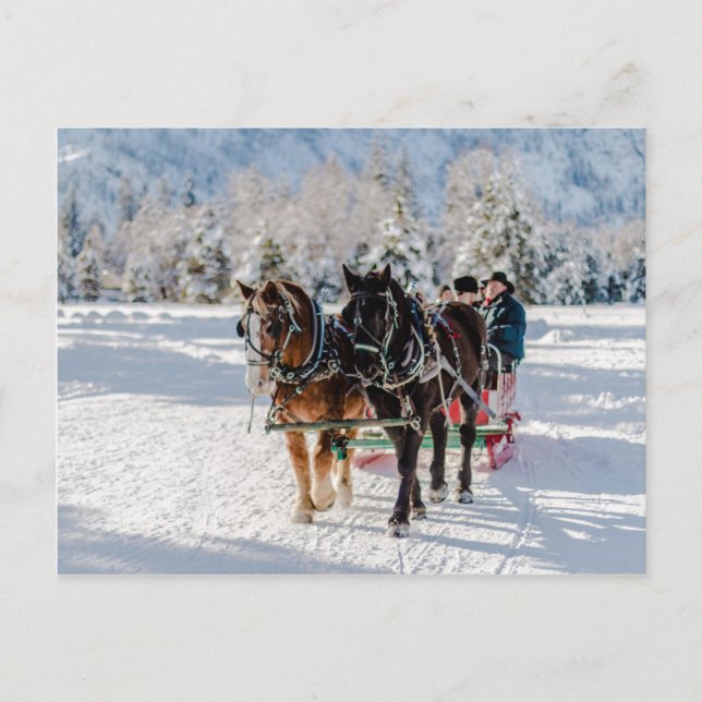 Carte Postale Le pays des merveilles de l'hiver (Devant)