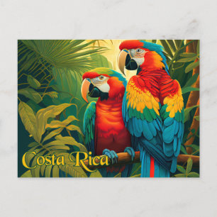 Carte Postale Le Perroquet du Costa Rica