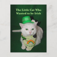 Le petit chat qui Recherché être irlandais