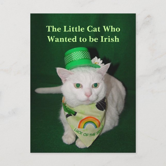 Carte Postale Le petit chat qui Recherché être irlandais (Devant)
