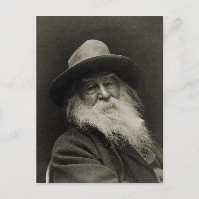 Carte Postale Le philosophe riant poète Walt Whitman (Devant)