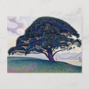 Carte Postale Le Pin Bonaventure, peinture à l'huile, Paul Signa