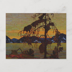 Carte Postale Le pin gris