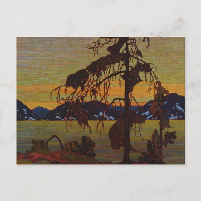 Carte Postale Le pin gris (Devant)