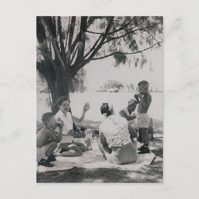 CARTE POSTALE LE PIQUE-NIQUE #25 (Devant)